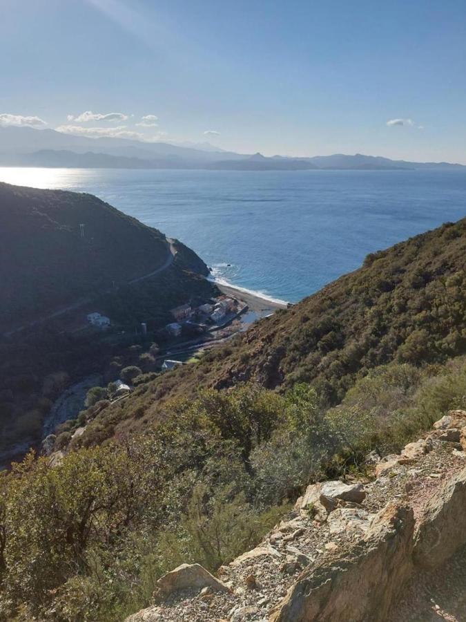 Cap Corse - Grande Maison Au Bord De Mer - Pmr Grillasca Exteriér fotografie
